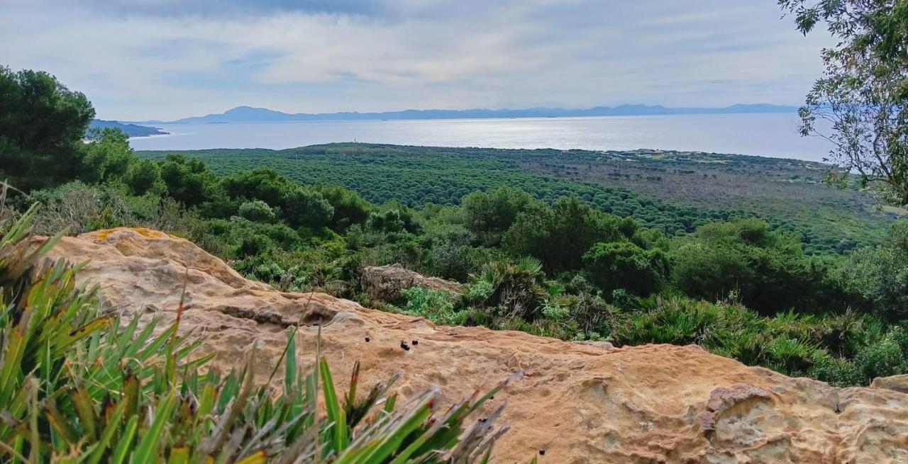 Exclusivo Zahara Urb Bahia De La Plata Leilighet Zahara de los Atunes Eksteriør bilde